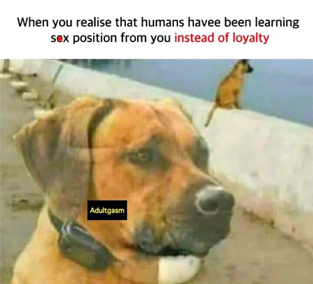 Funny joke
