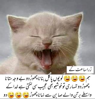 Funny joke