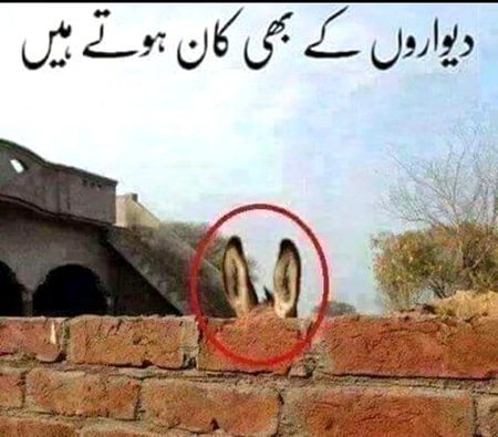 Funny joke