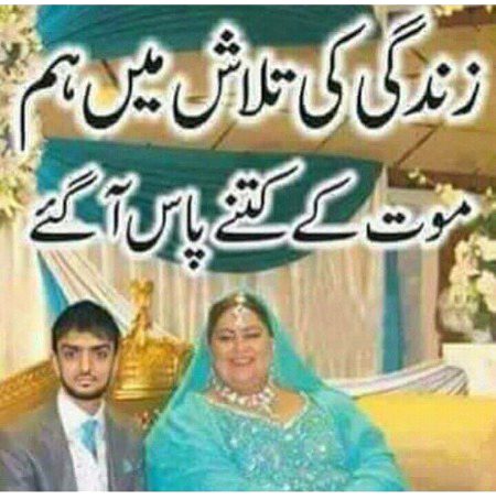 Memes & Satire image