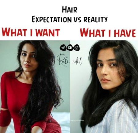 Memes & Satire image