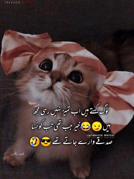 Jokes image