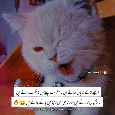 Jokes image