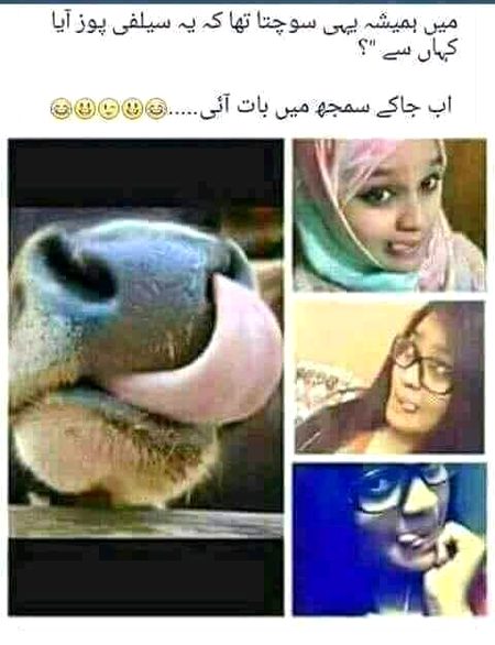 Memes & Satire image