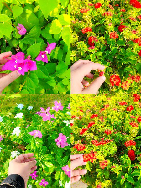 Beautiful Nature image