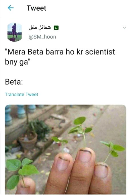 Memes & Satire image
