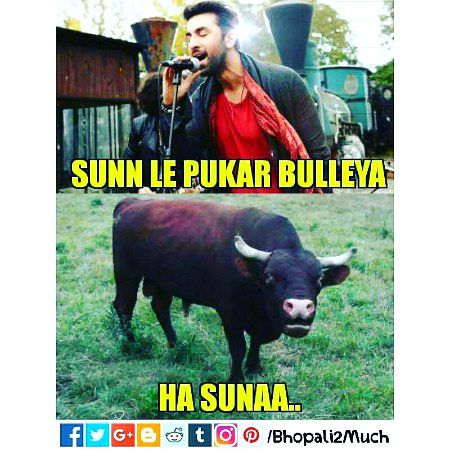 Memes & Satire image