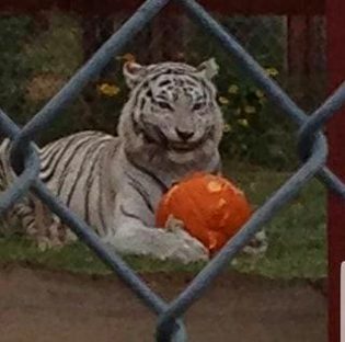 Beautiful Nature image