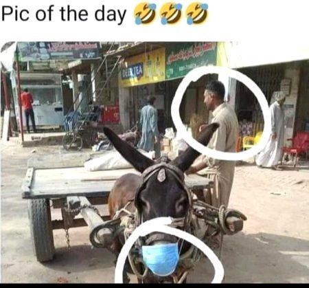 Memes & Satire image