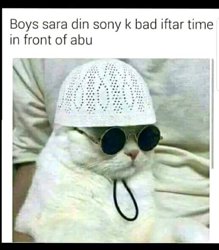 Memes & Satire image