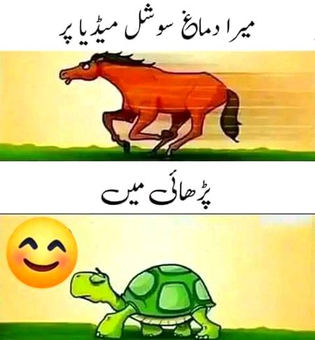 Memes & Satire image