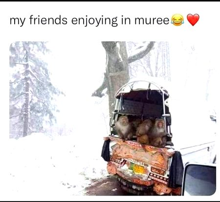 Memes & Satire image