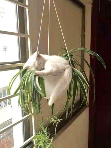 Beautiful Nature image