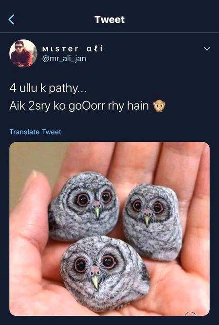 Memes & Satire image