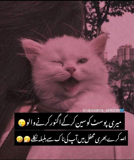 Jokes image