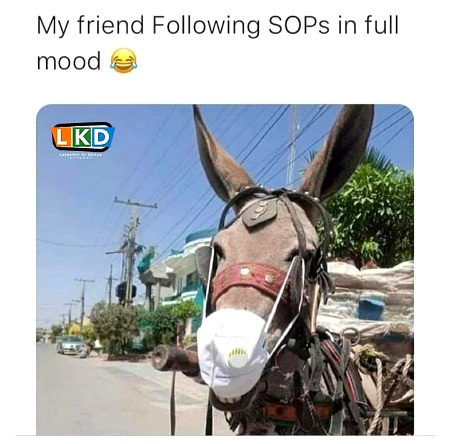 Memes & Satire image