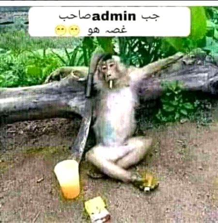 Memes & Satire image