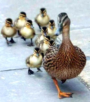 Beautiful Nature image