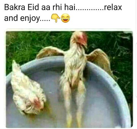 Memes & Satire image