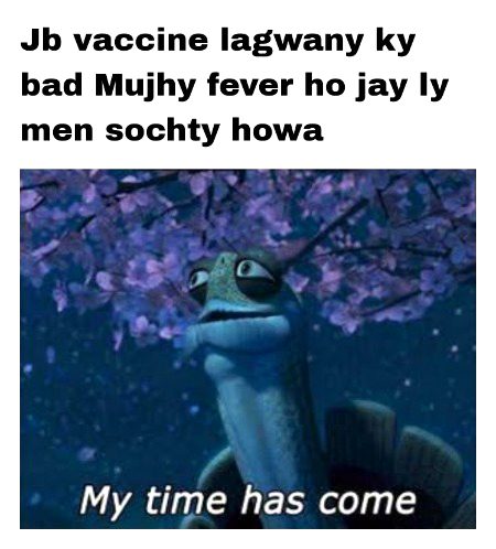 Memes & Satire image