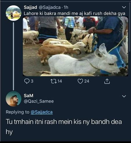 Funny joke