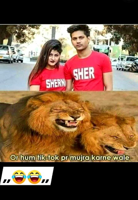 Memes & Satire image