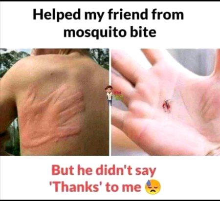 Memes & Satire image