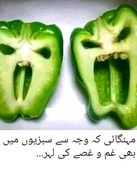 Memes & Satire image