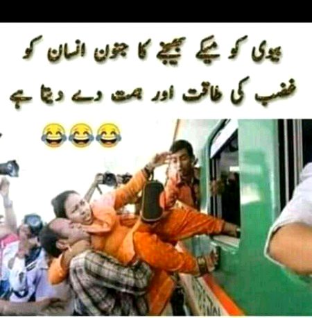 Memes & Satire image