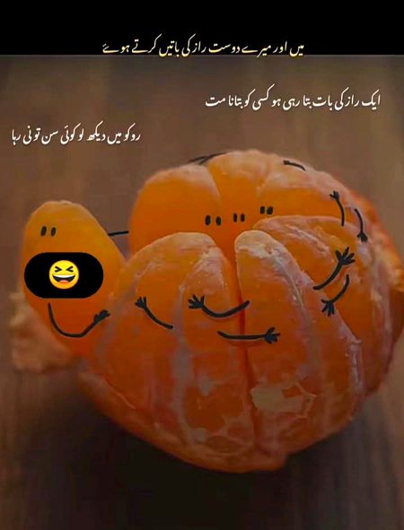 Memes & Satire image