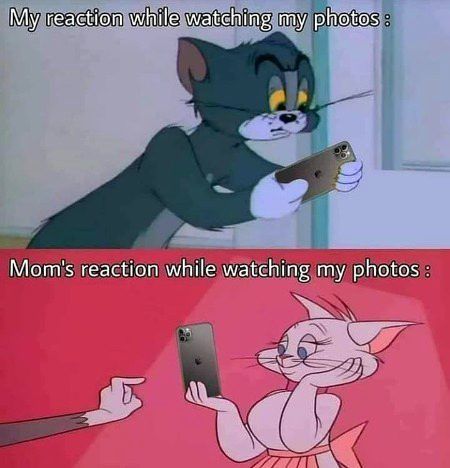 Memes & Satire image