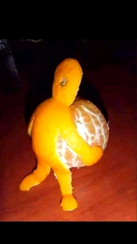 Memes & Satire image
