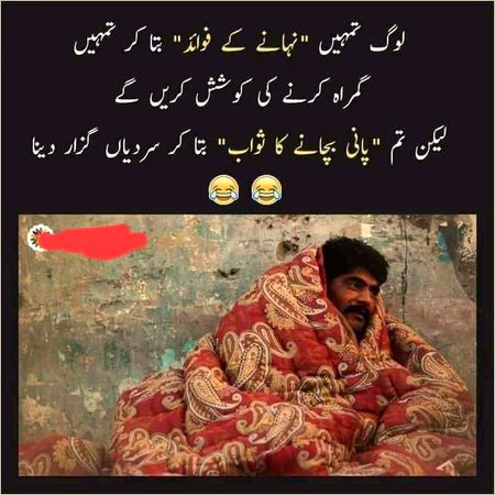 Memes & Satire image