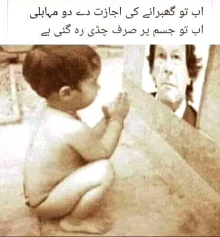 Memes & Satire image