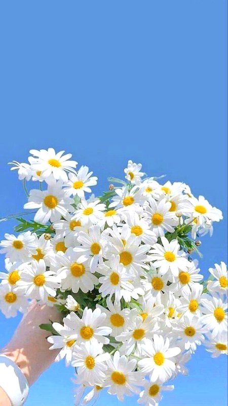 Beautiful Nature image