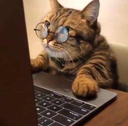 Beautiful Nature image