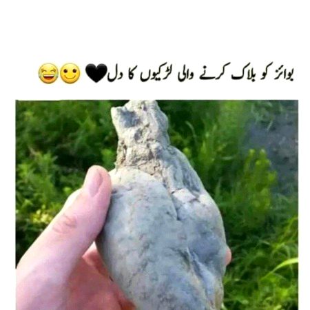 Memes & Satire image