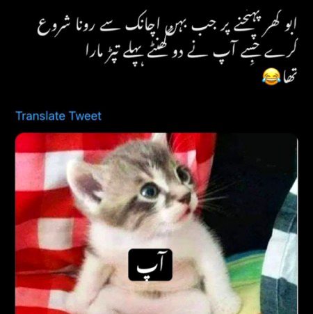Funny joke