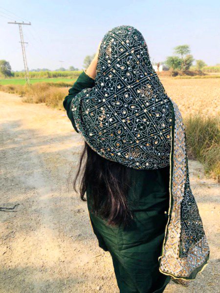 Beautiful Nature image