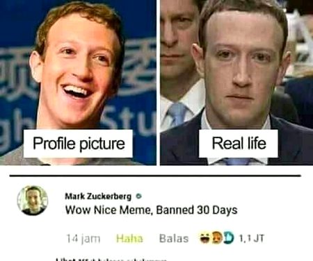 Memes & Satire image