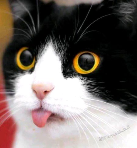 Beautiful Nature image