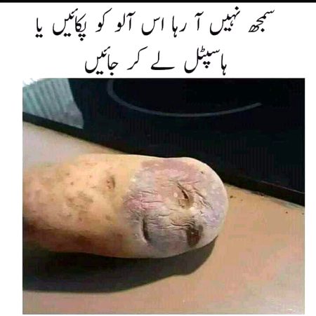 Memes & Satire image