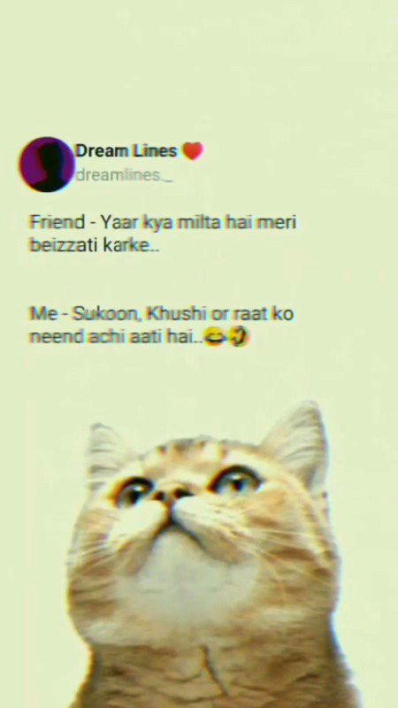 Memes & Satire image