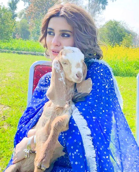 Pakistani Celebs image