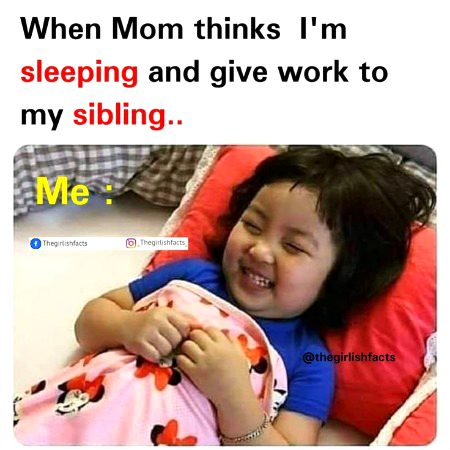 Memes & Satire image