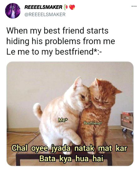 Memes & Satire image