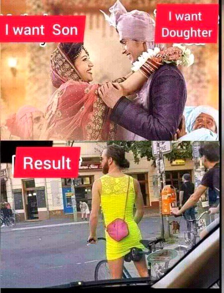 Memes & Satire image