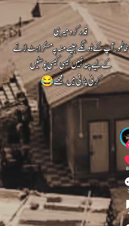 Memes & Satire image