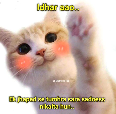 Memes & Satire image