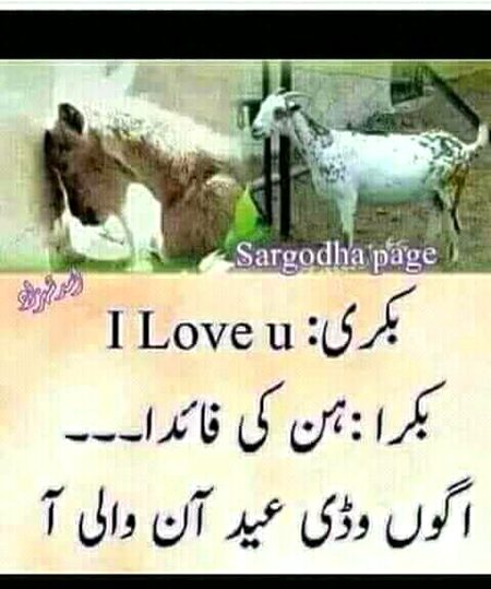 Jokes image